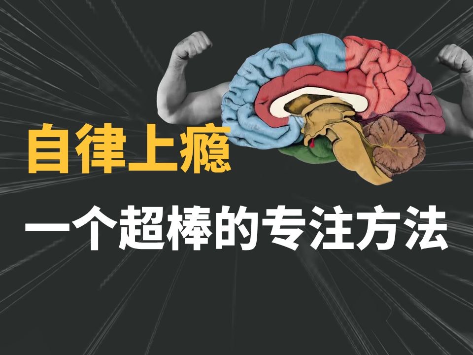 如何建立高效的学习系统